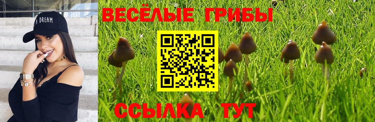 Орск  Галлюциногенные грибы Psilocybe  Вход с VPN  Псилоцибиновые грибы GOLDEN TEACHER 